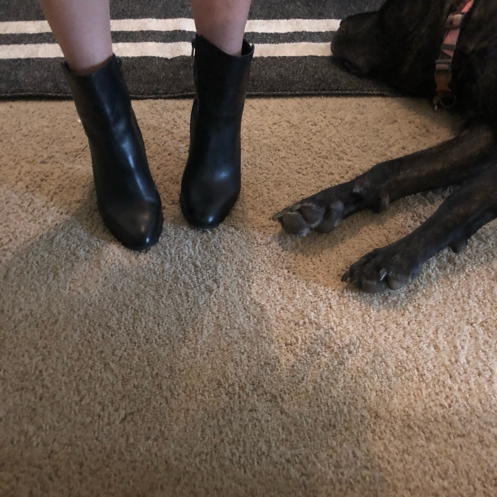 Coach booties